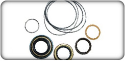 Seal Kits
