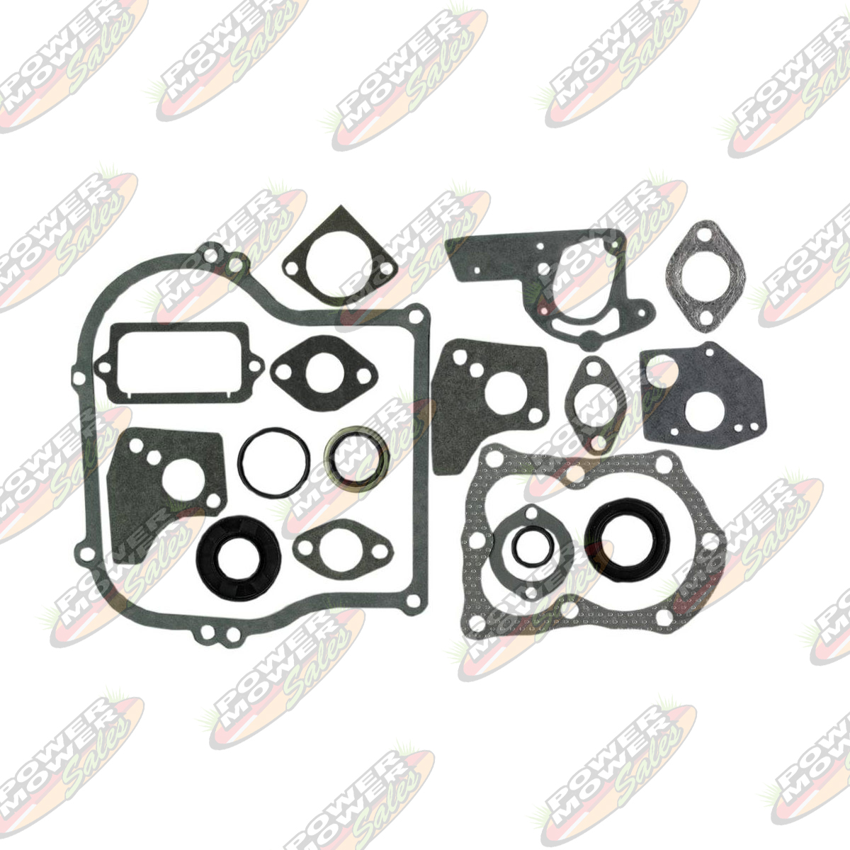 Gasket Set / Briggs & Stratton 495603