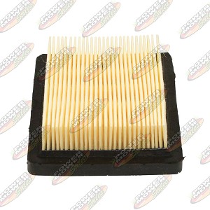 100-450 Air Filter / Tecumseh 740061C