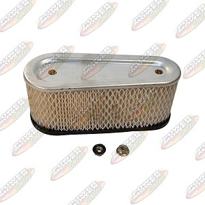 100-895 Air Filter / Tecumseh 36356