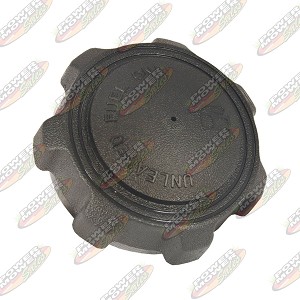 125-384 Fuel Cap / Briggs & Stratton 795027