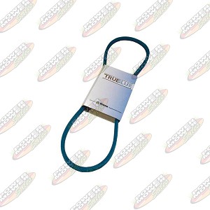 238-031 Belt / 3/8" x 31"