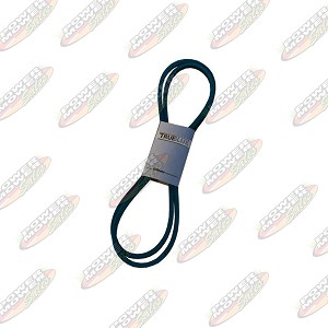 248-080 Belt / 1/2" x 80"