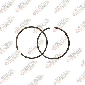 Piston Rings STD